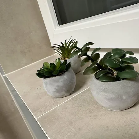 Zillertal Center Lejlighed Aschau Im Zillertal